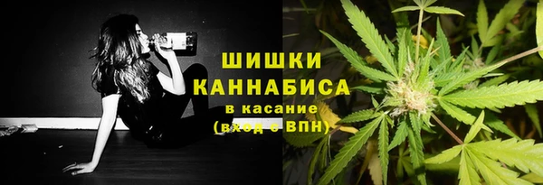 apvp Магас