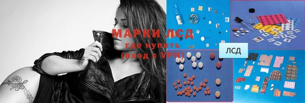 apvp Магас