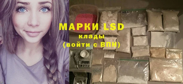 apvp Магас